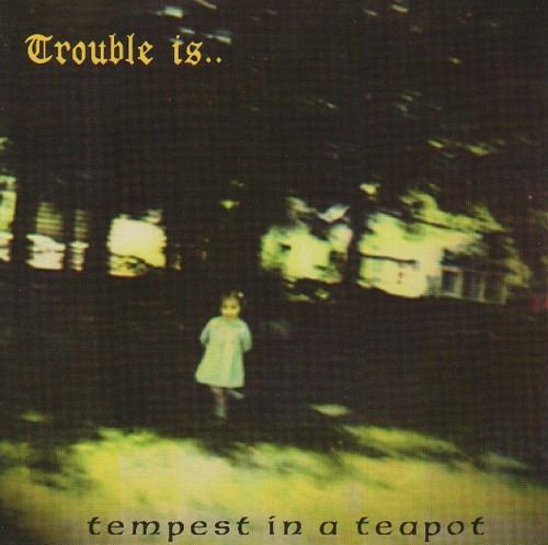 Trouble tempest in a - -,
