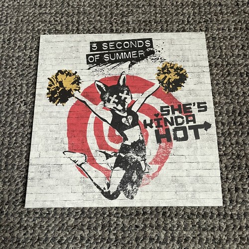 Seconds summer she - seconds,